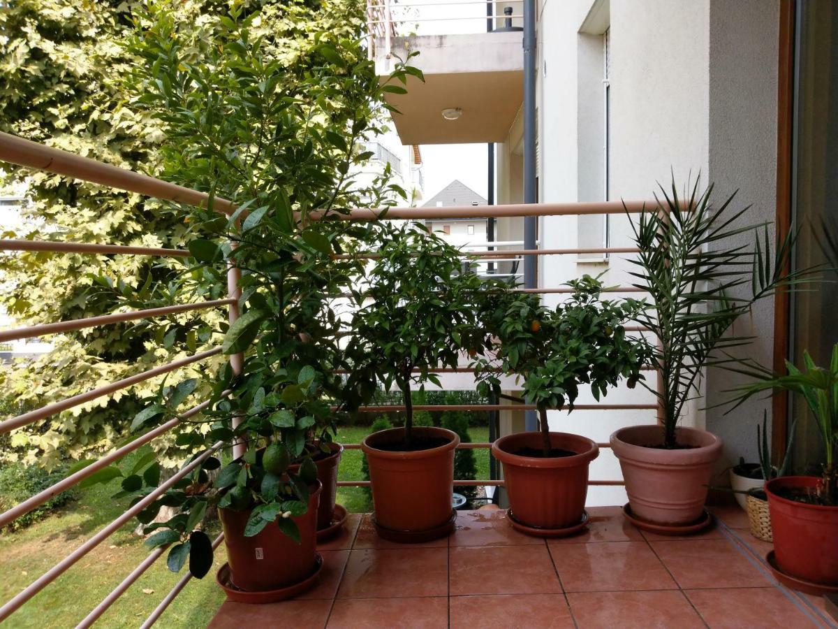 Mandarin Wellness Apartman Siófok Buitenkant foto